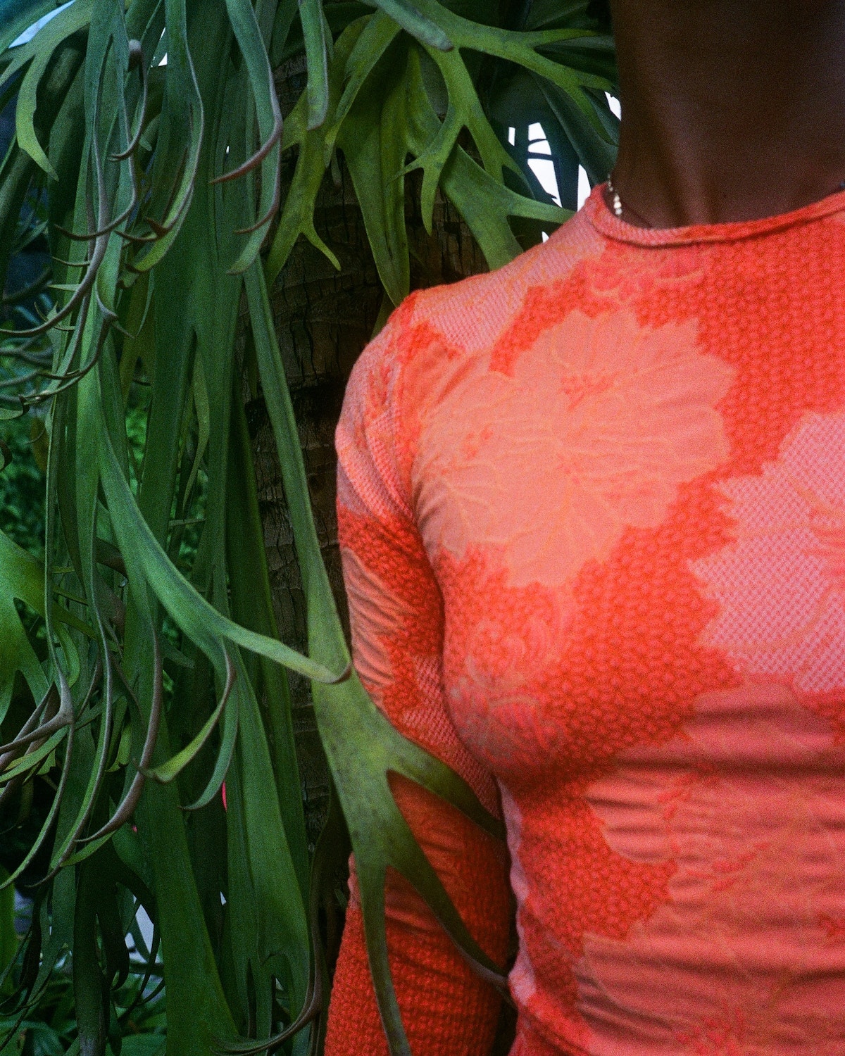  Palomar Crop Top Rashguard - Squeeze